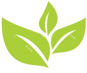 Logo of a green tea leaf